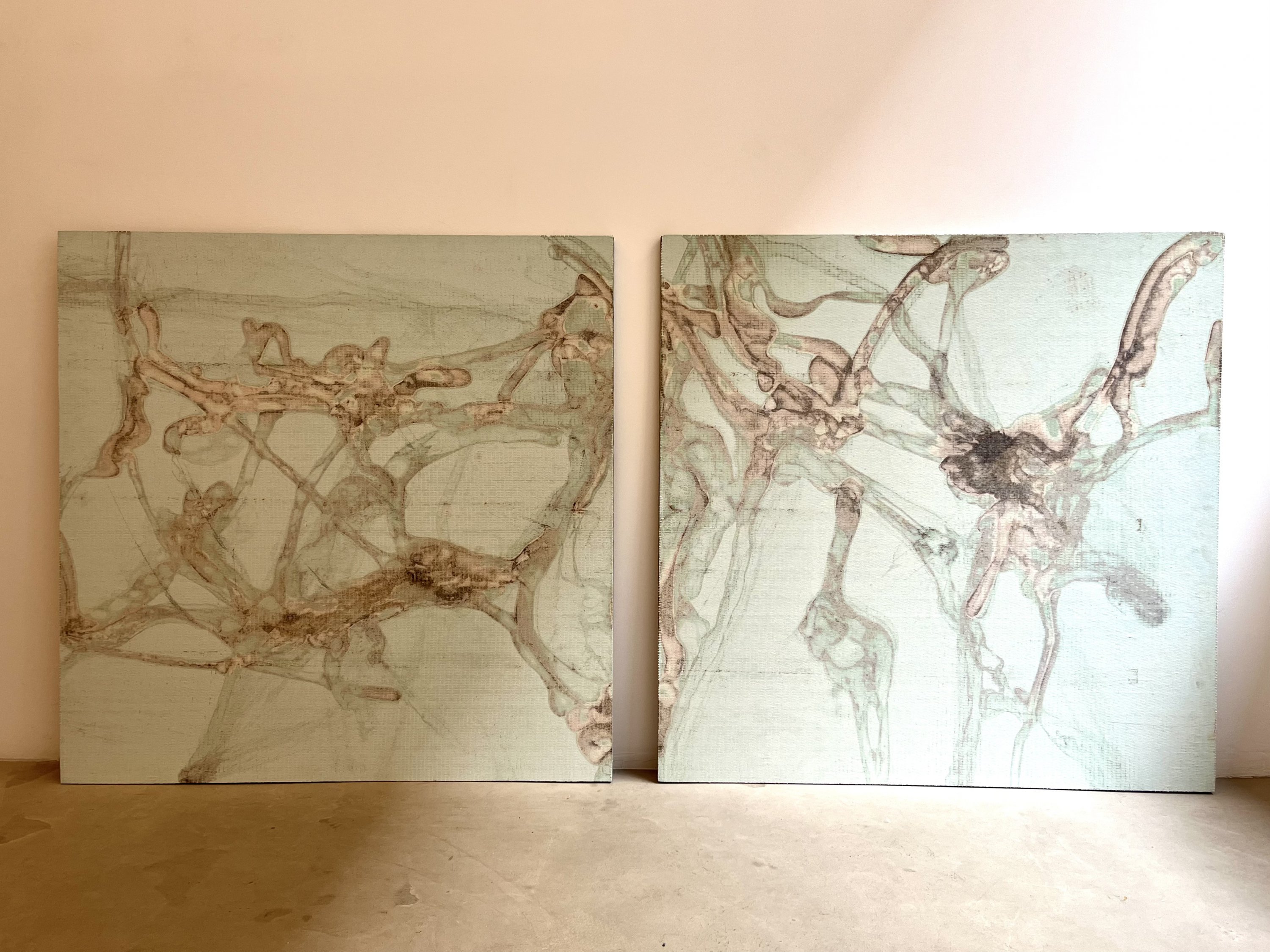 Carlos Irijalba - Ghost's Shadow