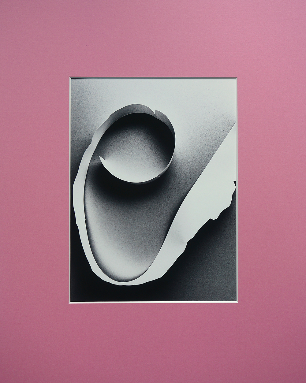 Jessica Backhaus - Paper (The Nature of Things)