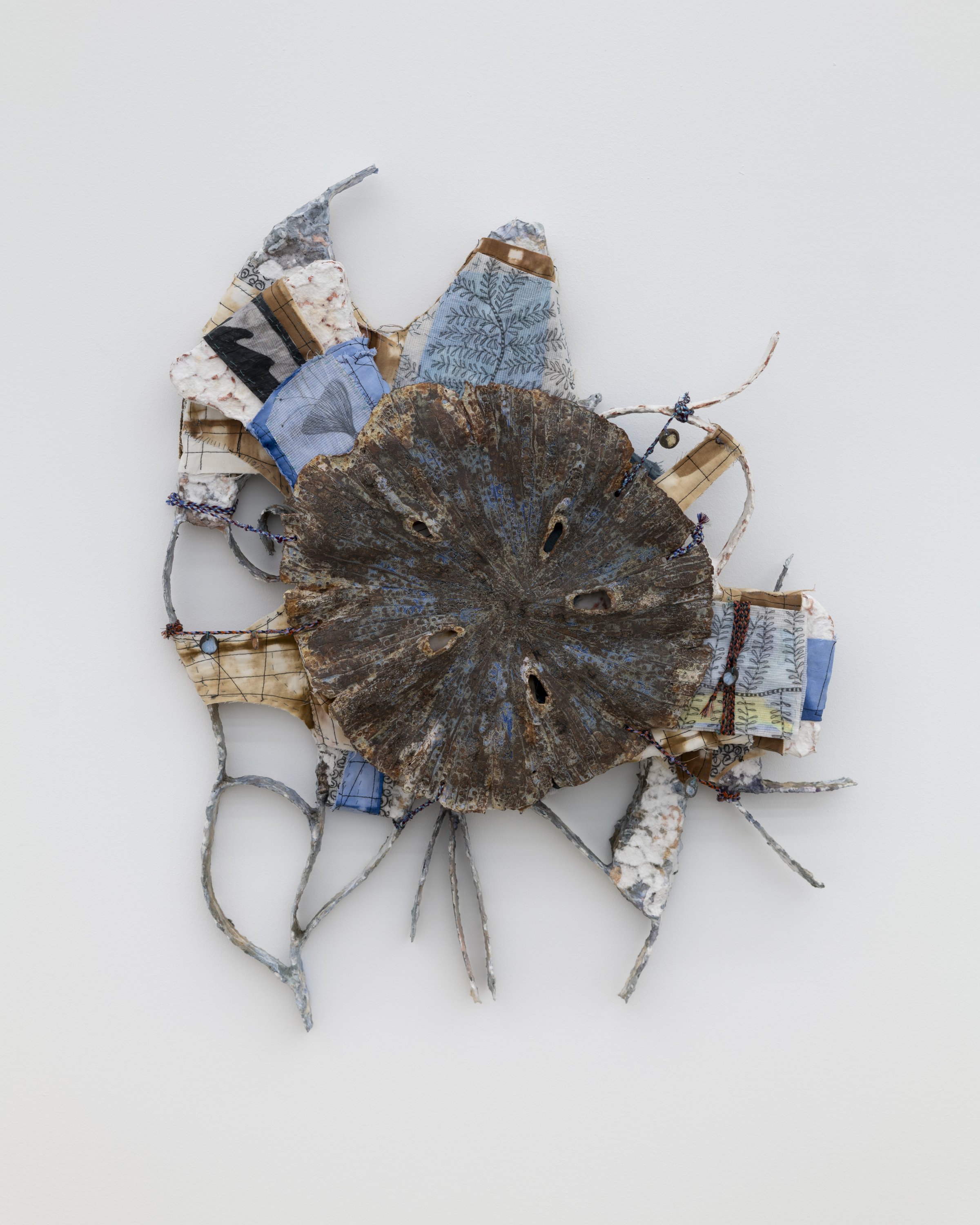 Isabel Nuño de Buen - Codex 49 (in three and a half Earth-years)