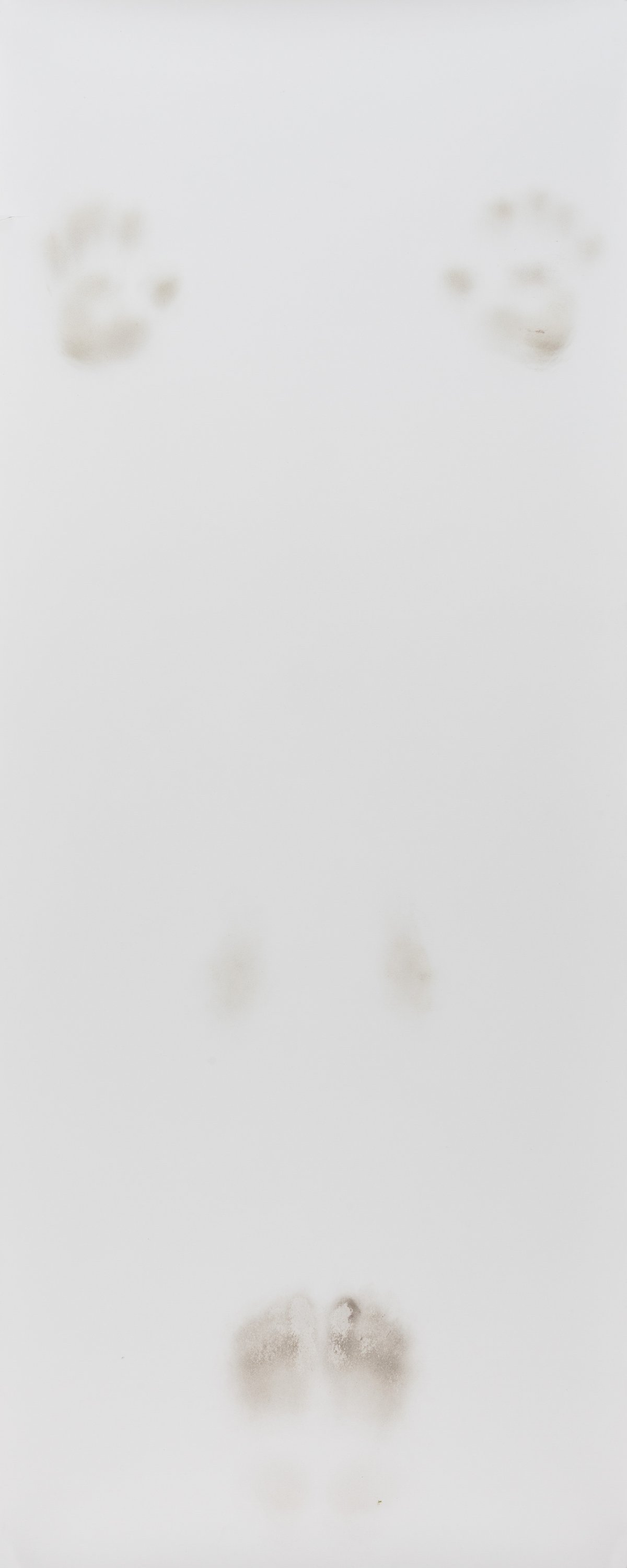 Jan Schmidt - Ohne Titel