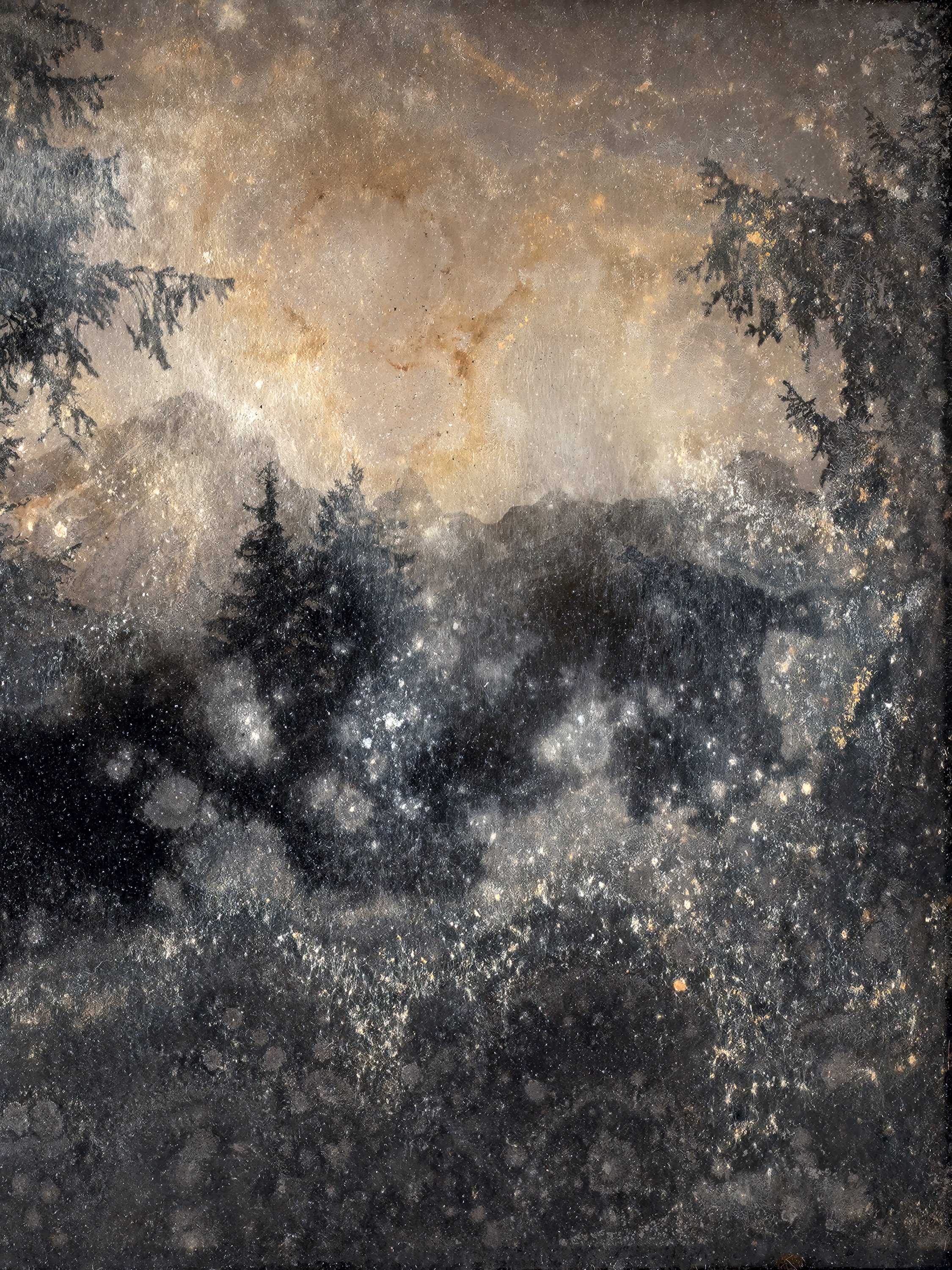 Joan Fontcuberta - La vía láctea XII