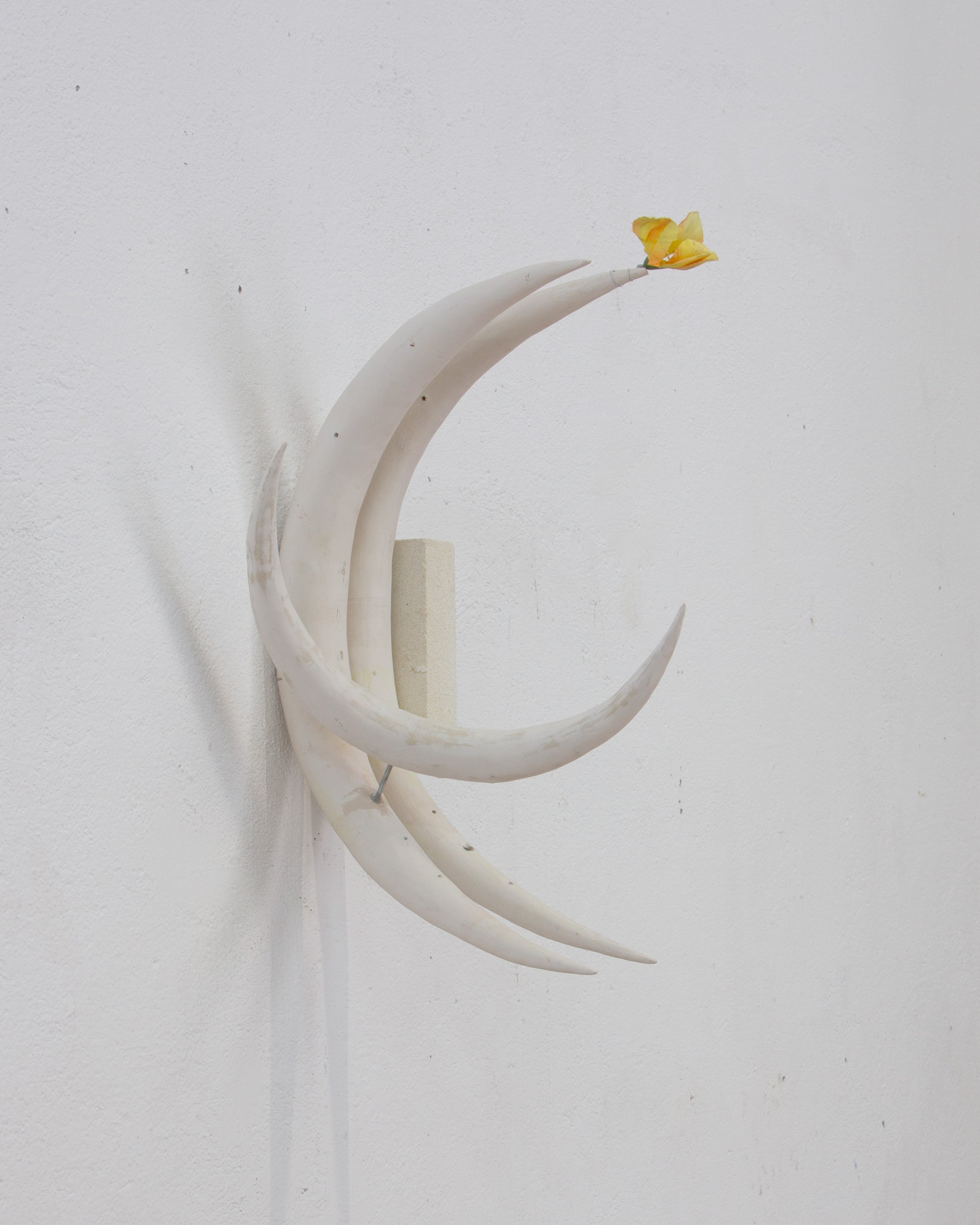 Andrés Izquierdo - Restless