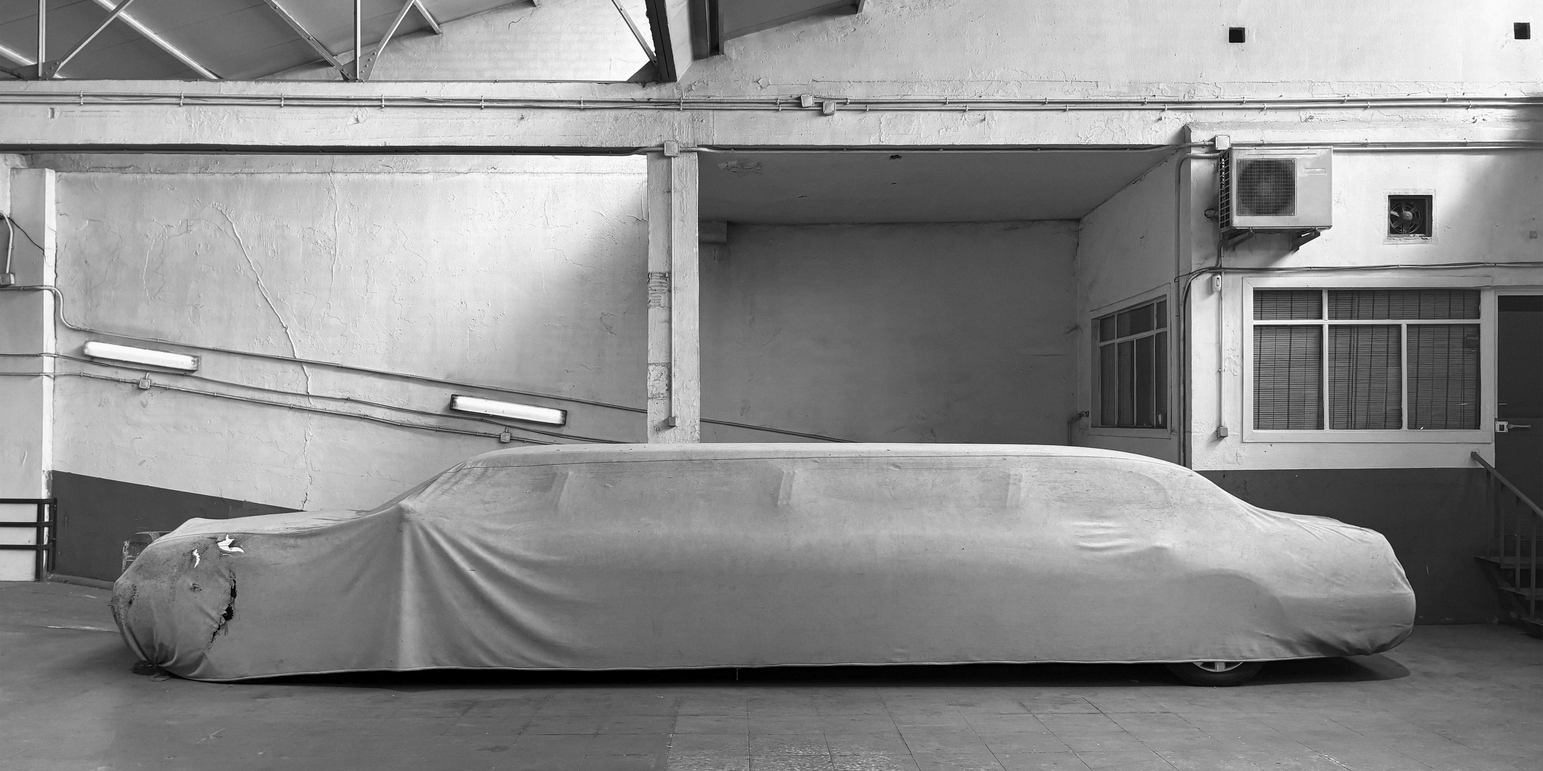 Ángela Suárez - LIMO