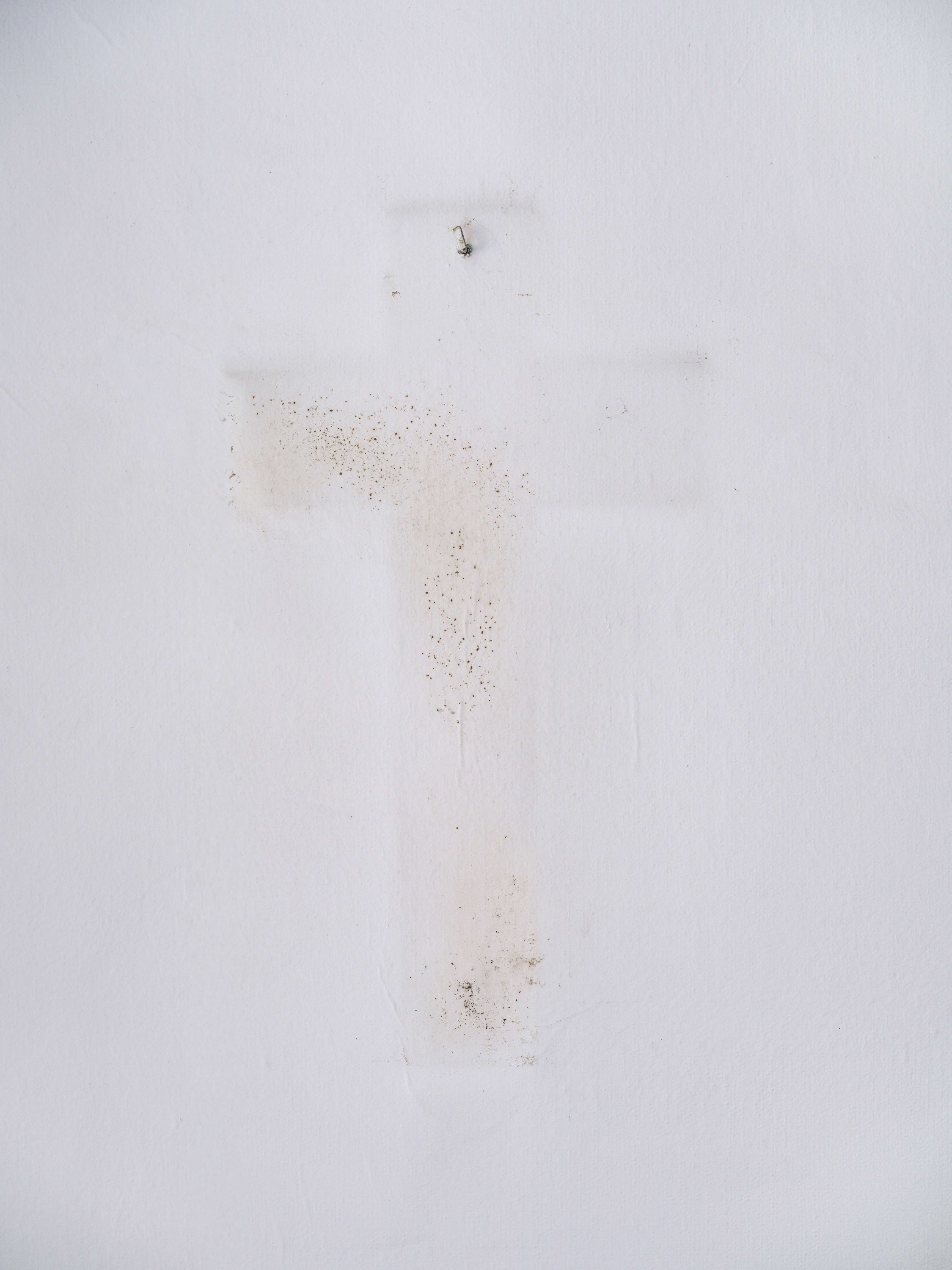 Ángela Suárez - CRUZ