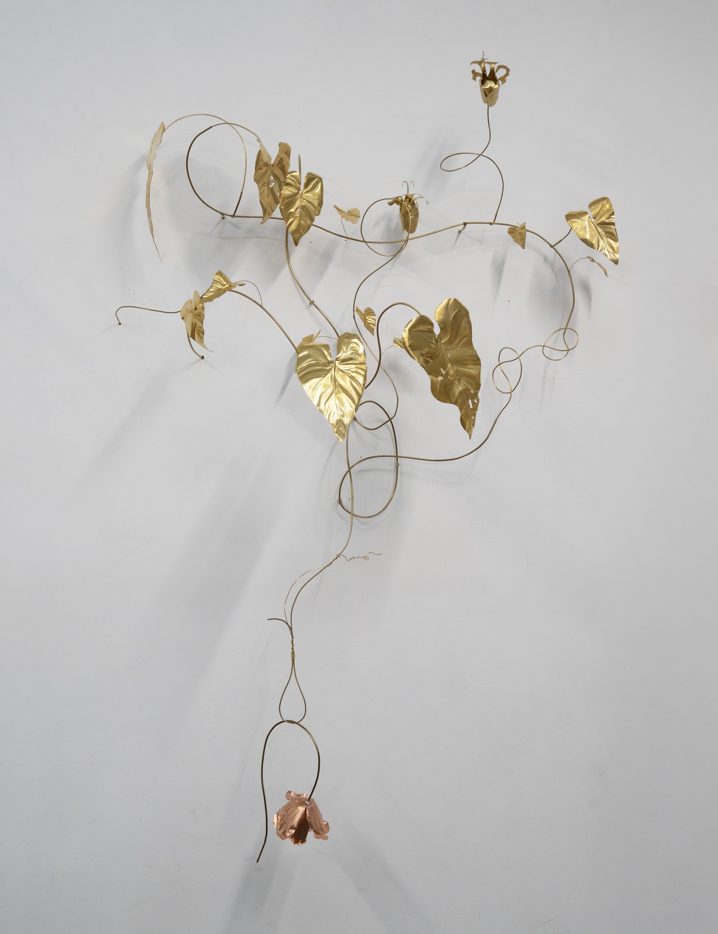 Blanca Gracia - Una revolución espontánea