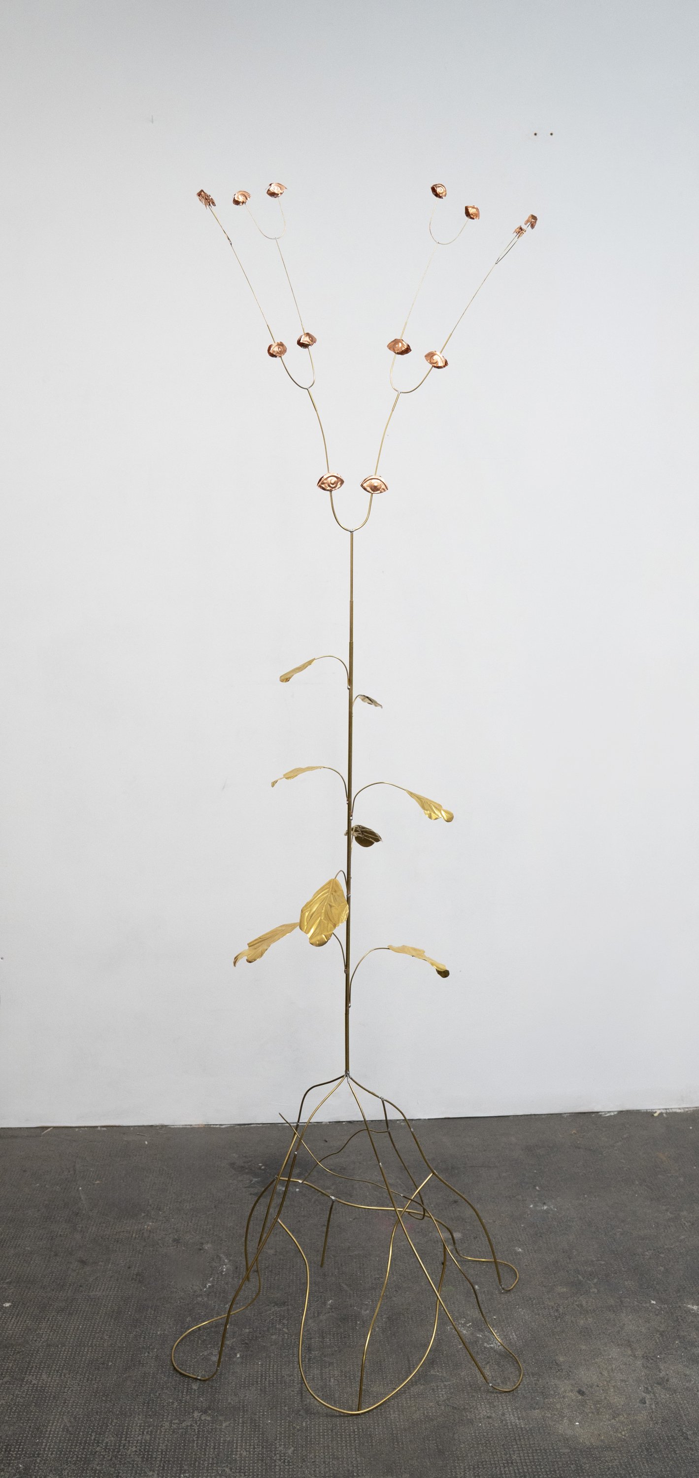 Blanca Gracia - La Mirona