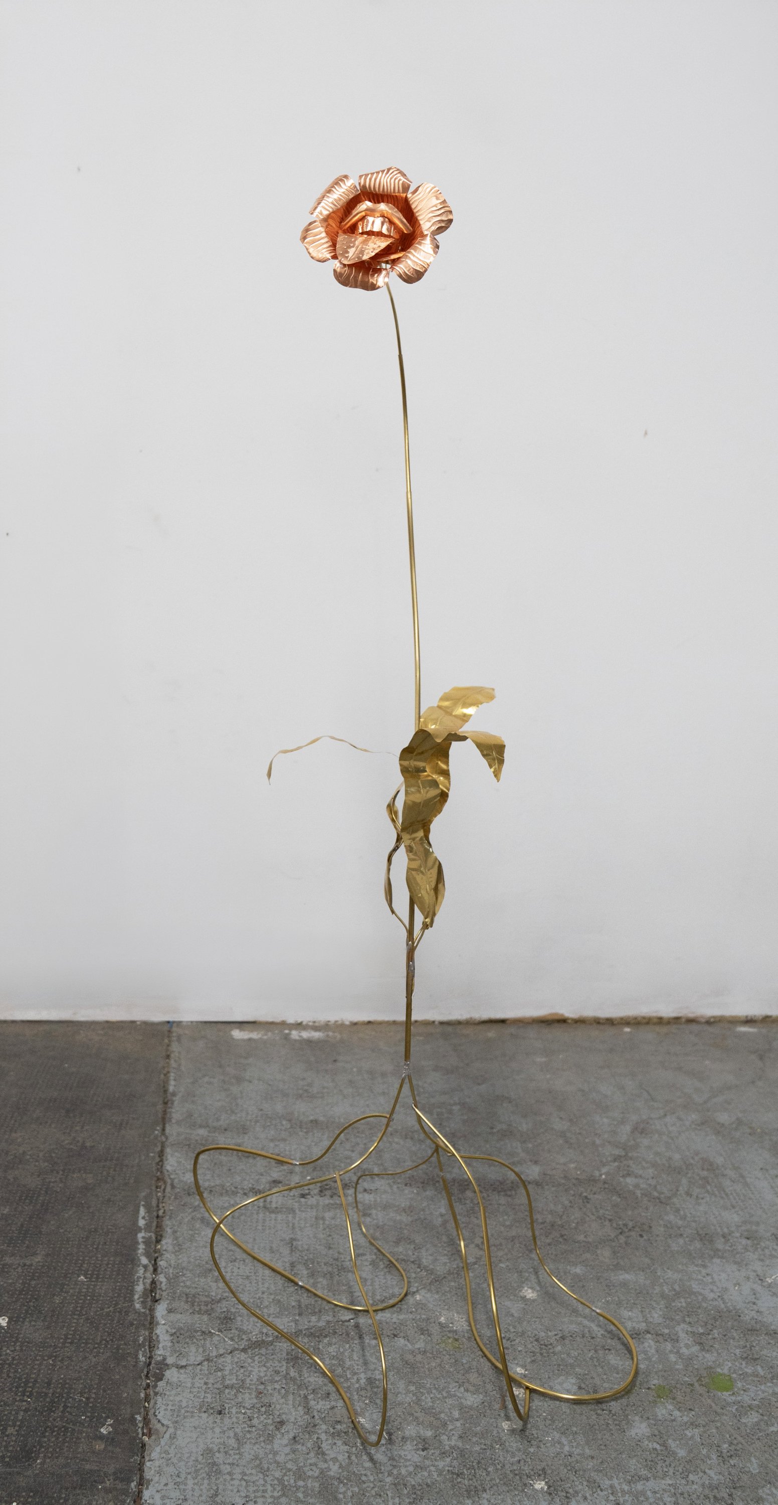 Blanca Gracia  - Lenguaraz