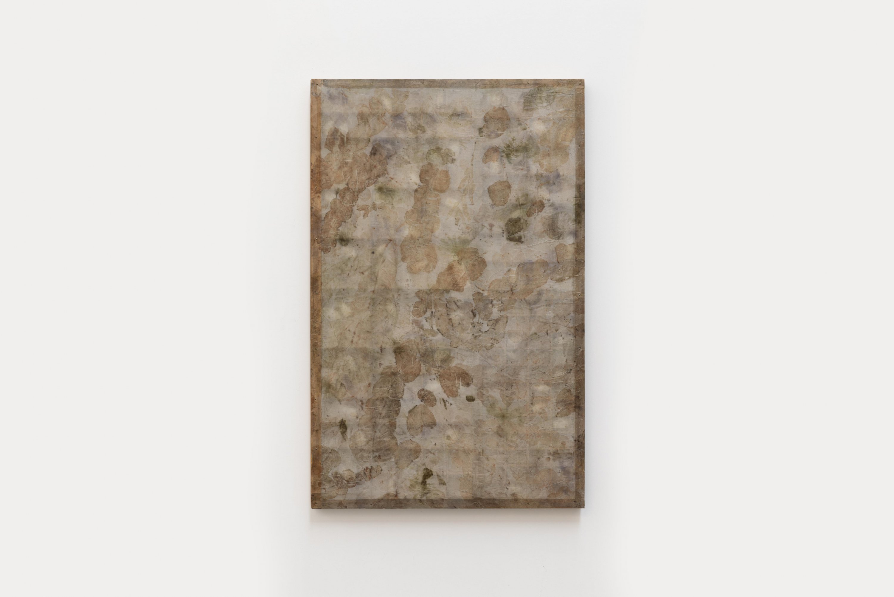 Mónica Mays - Shadow Box