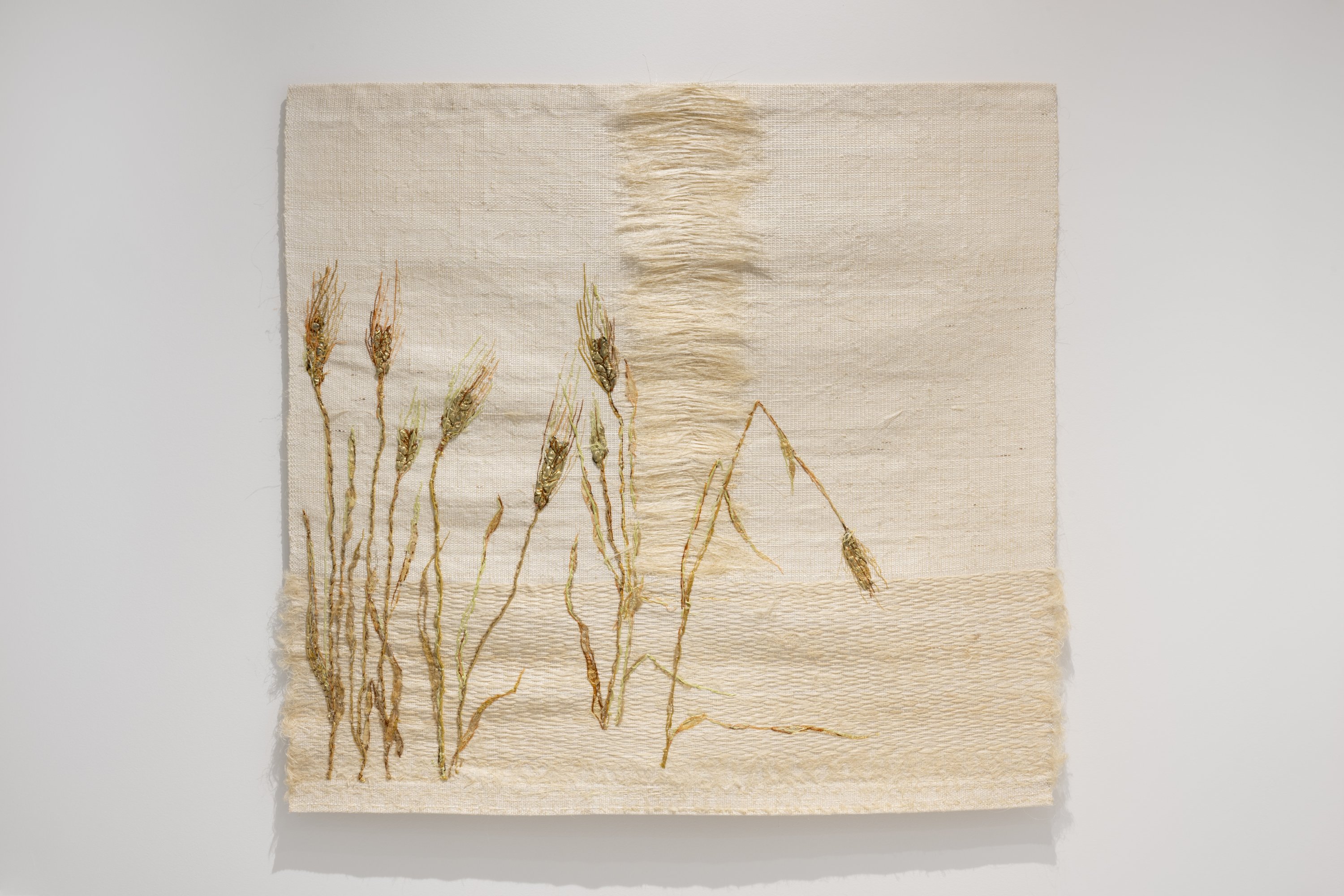 Trine Ellitsgaard - Cosecha