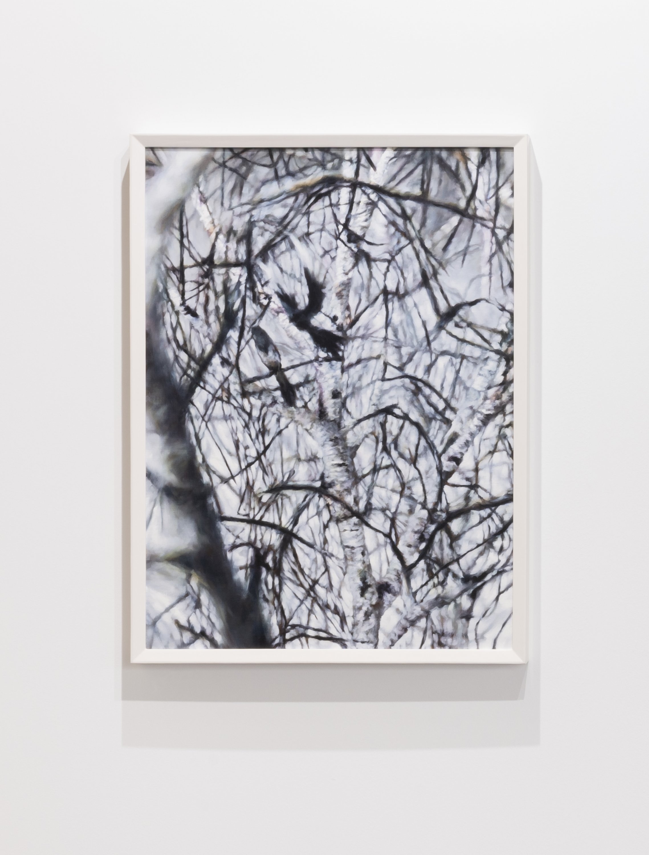 Philipp Fröhlich - One for Sorrow, Two for Joy I (354L)