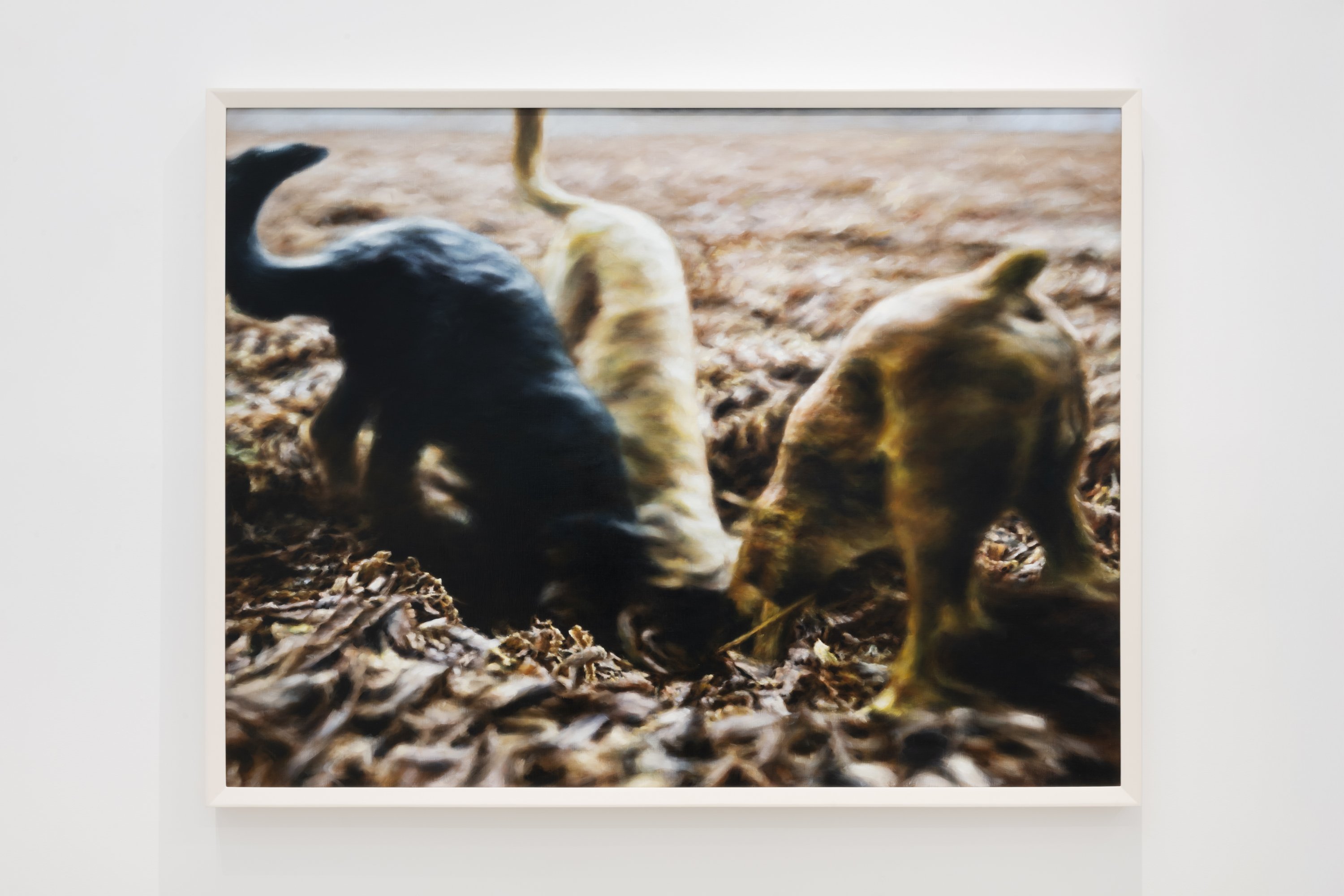 Philipp Fröhlich - The Grubbing [El escarbar] (283L)