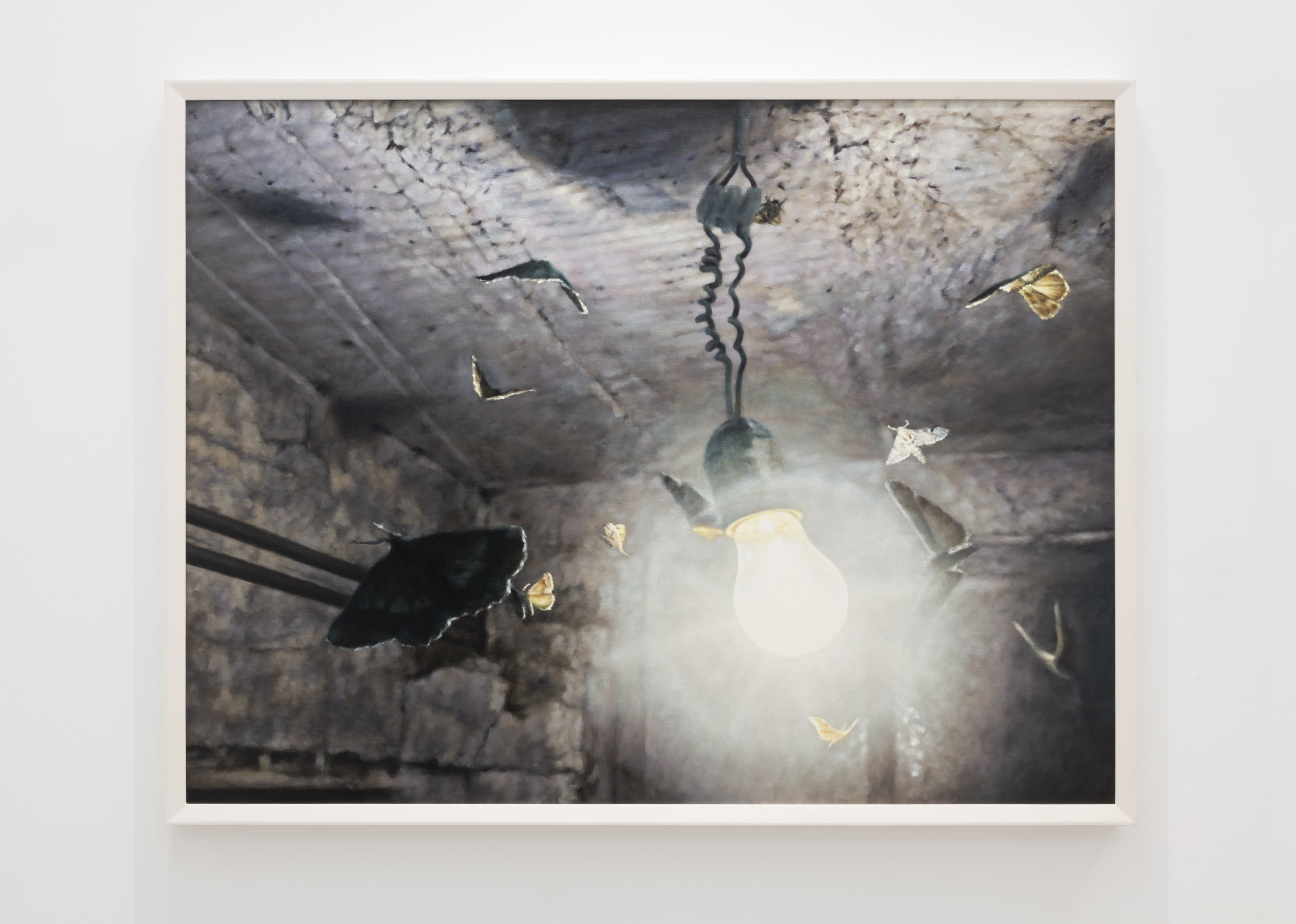 Philipp Fröhlich - Fläche und Durchmesser [Superficie y diámetro] (285L)