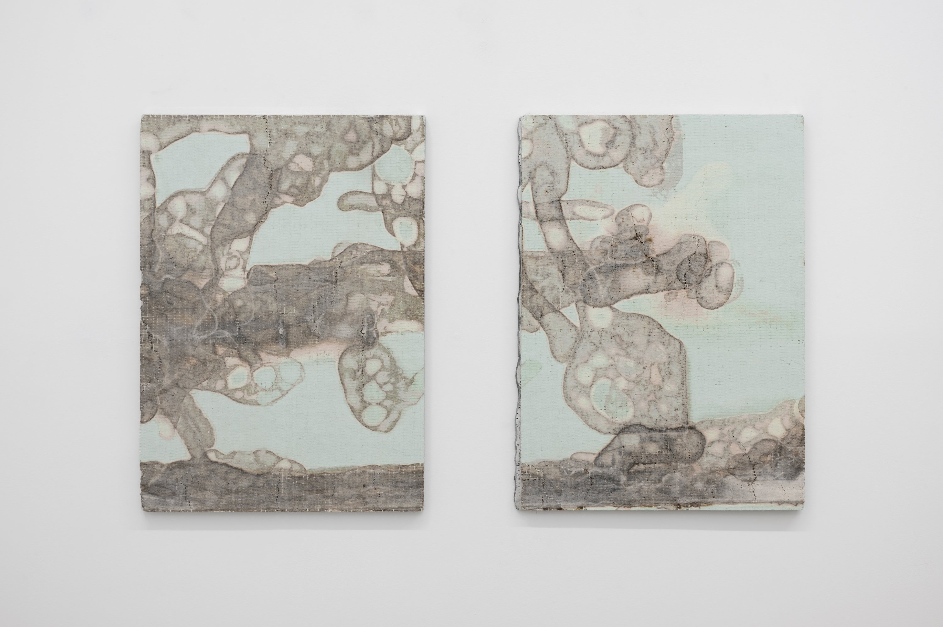 Carlos Irijalba - Ghost's Shadow