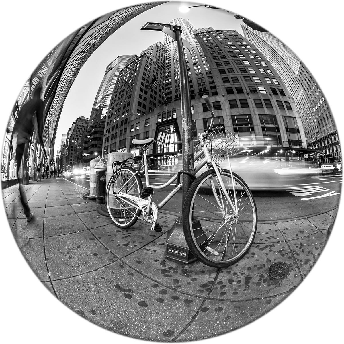 Roberto Lombana Concrete Jungle (Nueva York)